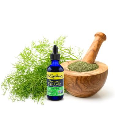 Dr. Rydland's Stomach & Colic Liquid Herbal Formula (2oz) - Pleasant Tasting Formula - Buy Online on GoSupps.com