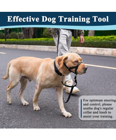 Durable Dog Head Necklace Halter - No Pulling Soft Headhaft & Safety Clip for Medium to XL Dogs - Perfect for Training & Walks - Buy Online on GoSupps.com