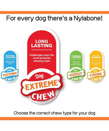 Nylabone Extreme Tough Dog Chew Toy - Shish Kebab Chicken Jerky Flavour - Small (Up to 11 Kg) - Buy Online on GoSupps.com