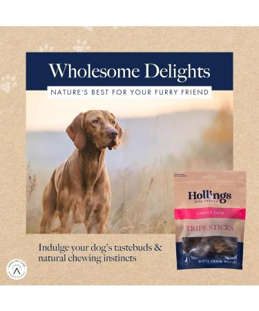 Hollings Tripe Sticks Dog Treats 100% Natural Air Dried Chews for Adult Dogs Grain Free & High in Protein (500g) 500 g (Pack of 1) - Buy Online on GoSupps.com