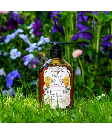 Shampooing Herbal avec ginseng ginseng gingembre et licorice anti-chute soin du cuir chevelu et r parateur de cheveux pour homme et femme extraits naturels 300 ml - Buy Online on GoSupps.com