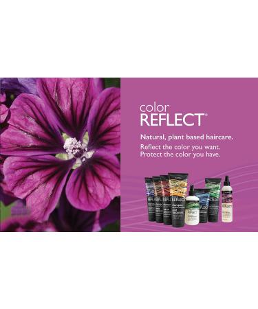 ShiKai Color Reflect Mist & Go Conditioner - Leave-In Spray for Shine & Detangling, 8 oz - Buy Online on GoSupps.com