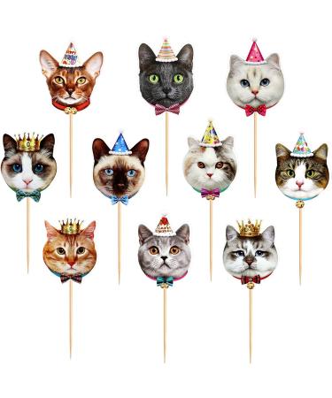 Ercadio 30 Pack Cat Cupcake Toppers Cat Head Cupcake Picks Kitten Cat Cake Toppers Kitten Pet Cat Cupcake Toppers for Cat Theme Birthday Baby Shower Party Cake Supplies A-10 Style Cats - Buy Online on GoSupps.com