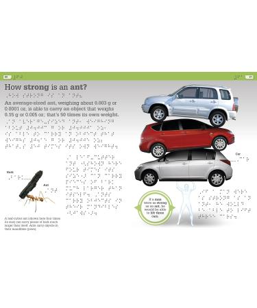 DK Braille It Can't Be True! Buy Internationally | Enhance Literacy & Enjoy Reading - Buy Online on GoSupps.com