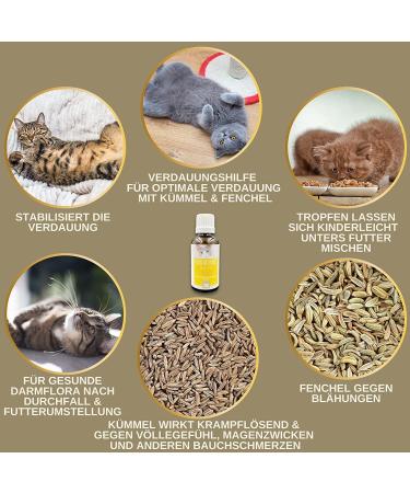 Intestinal Cure Cat Active Herbs Drops I First Aid Digestion - Gastrointestinal Intestinal Flora I Restorative Food - Diarrhea Flatulence I Intestinal Sanitation 30ml - Buy Online on GoSupps.com