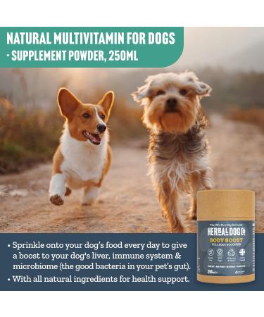 Herbal Dog Co Body Boost Dog Multivitamin Herbal Blend 250ml - Dog Vitamins & Supplements for Dogs & Puppies - All-Natural Vegan Made in UK Body Boost 250 ml (Pack of 1) - Buy Online on GoSupps.com