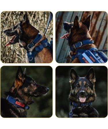 OneTigris Blue Dog Collar with Metal Buckle | Durable Adjustable MM Size for All Breeds | International Shipping Available - Buy Online on GoSupps.com