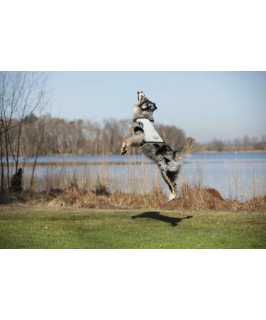 Shop Cani.cool Silver Cooling Vest for Dogs Size M | Perfect for Hot Weather - Buy Online on GoSupps.com
