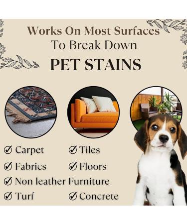 URINE FREE - Stain Plus 4 Oz / 118 ml - Eliminates Stains & Odors - Contains a Fragrance - Multipurpose Spotter & Odor Remover - Works On All Surfaces & Fabrics - Restaurants Home Pack of 1 - Buy Online on GoSupps.com