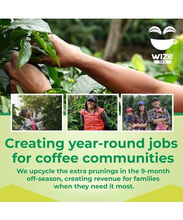 Wize Coffee Leaf Tea Bags Low Caffeine Unsweetened Zero Sugar Free Keto Friendly All Natural Fruit Flavor Vegan Organic Healthy Antioxidant Smooth Taste Tea 15 Tea Bags in Box Jasmine - Buy Online on GoSupps.com