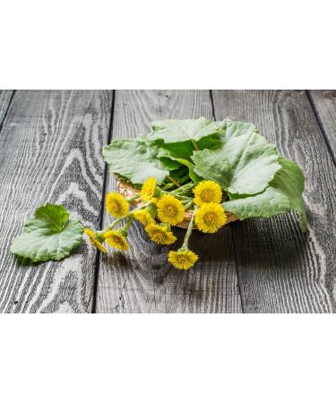 Coltsfoot Leaf Tea | Feuille De Tussilage Tisane | Tussilago Farfara Health Embassy (100g) - Buy Online on GoSupps.com