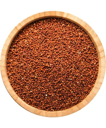 Organic Tattva Ragi Whole Finger Millet 500g Certified by USDA - Buy Online on GoSupps.com