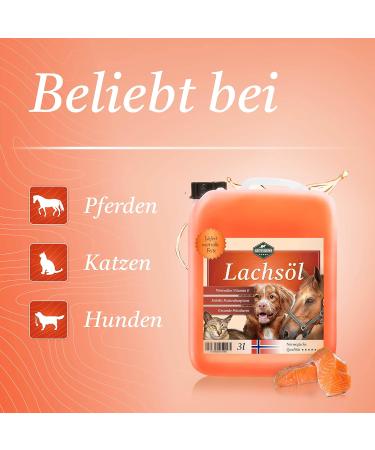 Martenbrown 3L Premium Norwegian Salmon Oil for Dogs Cats & Horses | Fish Oil for Dry & Canned Food | BARF Oil 1-Pack - Buy Online on GoSupps.com