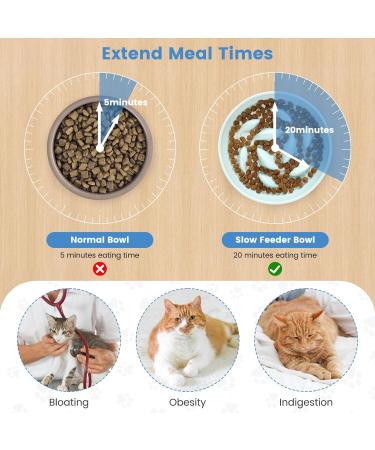 IDOGCHEW Ceramic Cat Slow Feeder Bowl - Anti-Gulping Puzzle Feeder for Healthy Eating - Non-Slip, Spill Proof - Green - Buy Online on GoSupps.com