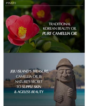 Buy NATURAL LIP OIL Set - Nourishing Glow Lip Care Serum with Camellia Seed Oil | 3-Piece Dohwa Gift Set | International Shipping Available - Buy Online on GoSupps.com