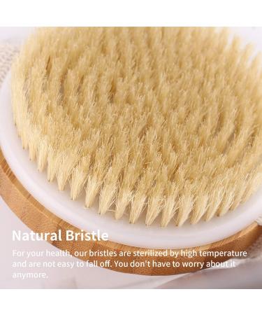 Buy Natural Bamboo Body Brush Shower Back Scrubber - Exfoliating Dry Brush for Lymphatic Health & Blood Circulation | International Shipping - Buy Online on GoSupps.com