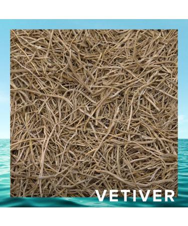 CRISTIANO RONALDO Fragrance For Men - Notes Of Pineapple Geranium And Patchouli - Light And Subtle Scent - Fresh And Floral Tones - Long Lasting - Attractive Bottle - 1 Oz EDT Spray 1 Fl Oz (Pack of 1) - Buy Online on GoSupps.com