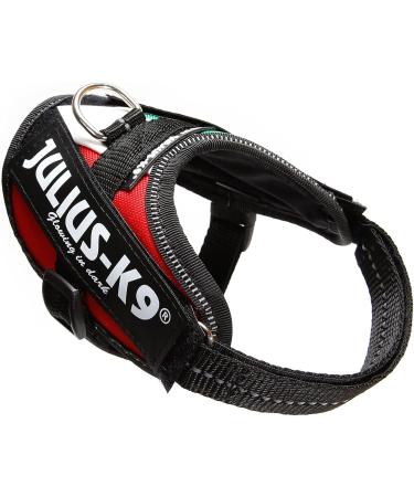 Shop IDC Powerharness for Babies | Size 2XS | Italian Colors | International Shipping Available - Buy Online on GoSupps.com