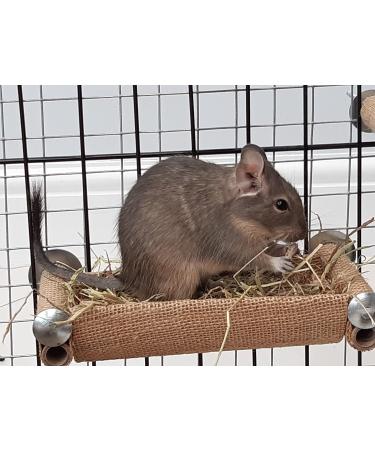 Totally Degu Pea Treats - Buy Online on GoSupps.com