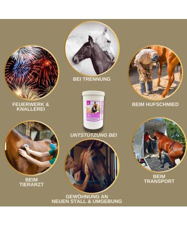 Magnesium Horse Powder - Calm Horse Relax Anti-Stress to Calm Agitation I L-tryptophan Vitamin E - Magnesium for Horses in High Dose Against Anxiety & Stress Serenity Nervous Horse 1kg - Buy Online on GoSupps.com