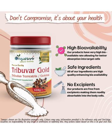 Tribuvar Gold Powder (Gokhru-Gokshura) - Natural Testosterone Booster - Buy Online on GoSupps.com