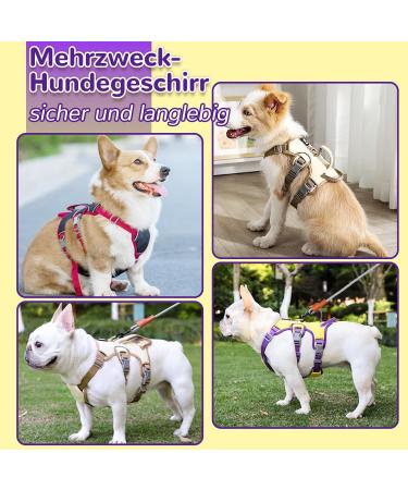 Multi-Purpose Dog Harness for All Sizes - Outbreak-Proof with Leash Set | Ideal for Small Medium & Large Dogs - Yellow (L) - Buy Online on GoSupps.com