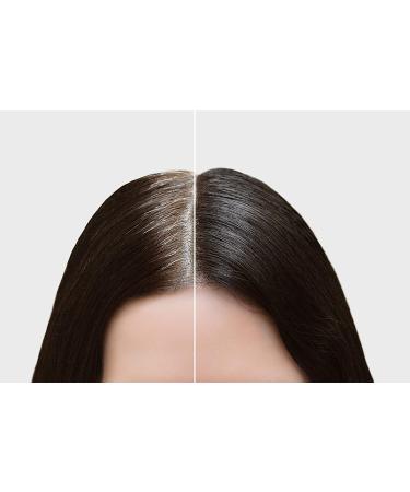 Greyfree 2 Pack Temporary Hair Color for Gray Hairlines, Eyebrows, Mustache & Beards - Medium Brown - Buy Online on GoSupps.com