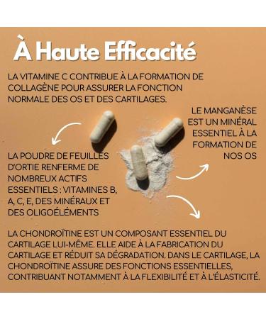 KOTOR CHONDRO | Regenerates Cartilage | Joint Bread | Glucosamine + Marine Chondroitin + Nettle + Manganese + Vitamin C | Mobility & Flexibility | 60 Capsules | Made in France - Buy Online on GoSupps.com