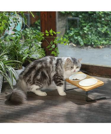 FUKUMARU Elevated Cat Ceramic Bowls - Small Dog 15 Tilted Food & Water Feeding Dishes with Solid Wood Stand - For Cats and Puppies - Buy Online on GoSupps.com