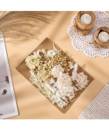 AhlsenL Real Dried Flowers Mix - Hydrangeas, Daisies, White Decorative Petals for DIY Crafts - Buy Online on GoSupps.com