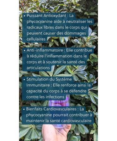 Phycocyanin syrup 3000 mg/l - Buy Online on GoSupps.com