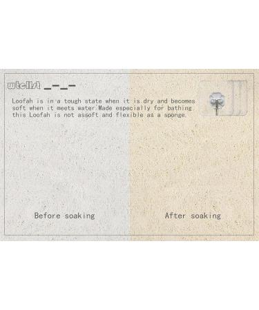 Natural Exfoliating Loofah Brush Stick Set - Long Wooden Handle Back Brush for Men & Women - 2 Pieces + Free Wall Hooks - Buy Online on GoSupps.com