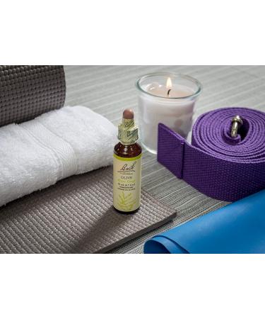 Bach Olive Flower Remedy for Energy - Natural Stress Relief, Vegan 20mL Dropper - Buy Online on GoSupps.com