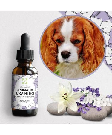 Bach Flowers Fearful Animals - This mixture of Bach flowers will allow your pet to manage their fears and anxieties with more cold blood. 30 ml Pack of 2 - Buy Online on GoSupps.com