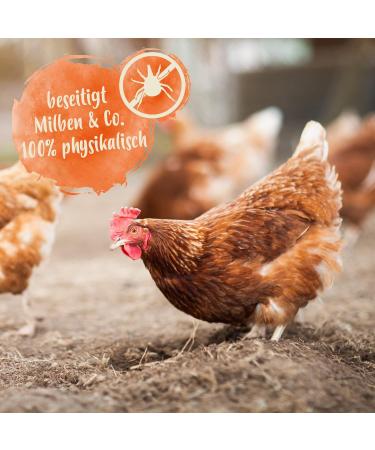 Ida Plus Gurlite Powder for Mite Control - Eco-Friendly Solution for Chickens Quail & Poultry - 250g Pack - More Effective than Pebbles - Buy Online on GoSupps.com