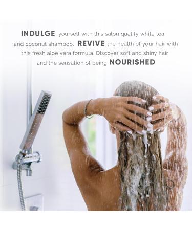 Terra Pure Infuse White Tea & Coconut Shampoo - 400 ml | Nourishing Softening & Eco-Friendly Hair Care - Buy Online on GoSupps.com