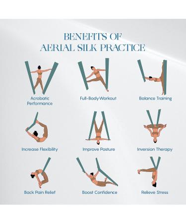 Aum Active 11 Yards Aerial Silks Kit with Swivel & Guide - Durable Ariel Silks for Aerial Yoga & Acrobatics (Plum) - Up to 18ft Rigging Point - Buy Online on GoSupps.com