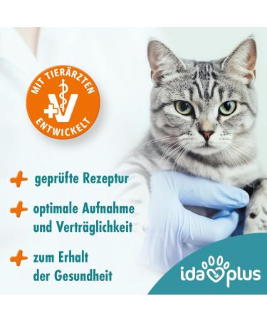 Ida Plus Dental Care Mini Sticks for Cats - Anti-Plaque Treats Freshens Breath Cleans Teeth - 80 Delicious Pieces - Buy Online on GoSupps.com