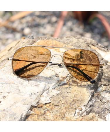 HELES Classic Aviator Titanium Alloy Photochromic Reading Glasses - Brown Full Rim Sunglasses +2.00 Strength - Stylish Outdoor Vision Aid - Buy Online on GoSupps.com