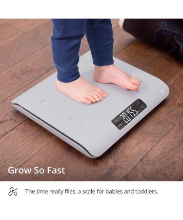 Greater Goods Digital Baby Scale - Perfect for Readings Before and After Feedings | with Two-in-One Function | Can Also Serve as Toddler Scale | Designed in St. Louis (Basic  Non-Connected) Basic (Non-Connected) - Buy Online on GoSupps.com