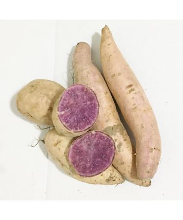 Fresh Purple Sweet Potatoes-2LBS