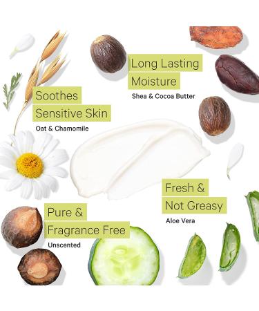 Tree to Tub Unscented Shea Butter Body Lotion - Vegan Moisturizer for Dry, Sensitive Skin - Organic Aloe Vera, Cocoa Butter, Oatmeal - 8.5 Fl Oz - Buy Online on GoSupps.com