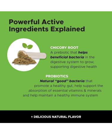 Pet Honesty Digestive Probiotics - 120 Scoops | Supports Pet's Gut Health - Buy Online on GoSupps.com