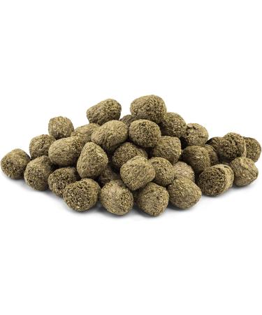 Vita Power Vita Special Senior Feed for Older Dwarf Rabbits - Omega Fatty Acids No Added Sugar - 600g (2-Pack) - International Shipping Available - Buy Online on GoSupps.com