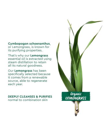 GARNIER Bio Organic Lemongrass Face Gel Wash - 150ml for Normal & Combination Skin | Shop Internationally - Buy Online on GoSupps.com