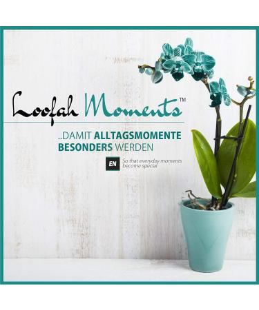 Loofah Moments Konjac Sponge | Natural Vegan Facial Care | Gentle Peeling & Make-Up Remover for Pimples & Blackheads | Plastic-Free Konjac Face Sponge - Buy Online on GoSupps.com