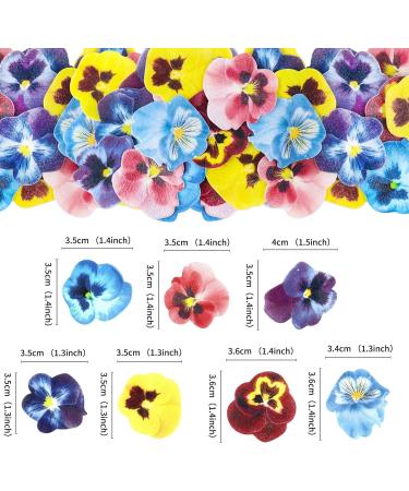Blumomon 60Pcs Edible Pansy Flowers Cupcake Toppers Tricolor Viola Cake Topper Edible Flowers Cupcake Decoration Picks Wedding Baby Shower Party Wedding Anniversary Birthday Party Cupcake Decoration Flower-style1 - Buy Online on GoSupps.com