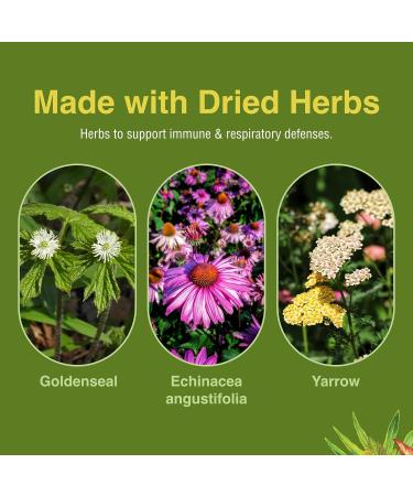 Herbs Etc. Peak Defense - Support a Healthy Respiratory System - Herbal Supplement to Support Immune Health - Vitality Support Supplement for Adults - Gluten-Free - 60 Softgels (60 Servings) - Buy Online on GoSupps.com