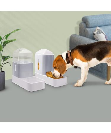 2-Pack Automatic Pet Feeders & Water Dispensers - 1 Gallon Capacity for Cats, Dogs, Puppies & Kittens - Gray - Buy Online on GoSupps.com