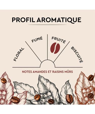 CARTE NOIRE - 100 Nespresso Compatible Cuv e de Caract re Coffee Capsules - Long Fermentation - Pack of 10x10 Aluminum Capsules - Made in France - Buy Online on GoSupps.com